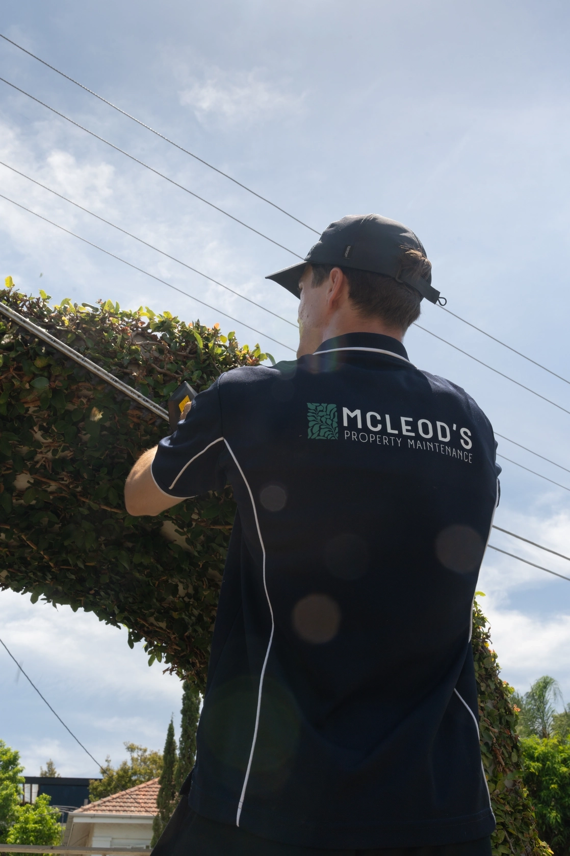 McLeod's gallery image